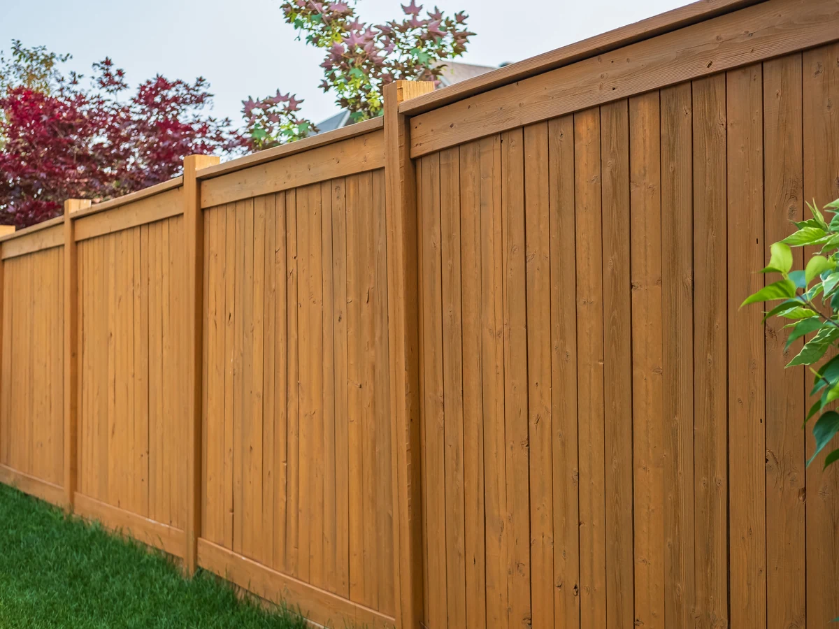 fence-painting-tall-wooden-stained-cambridge-decorators Tall stained wooden fence treated by Cambridge Decorators in Cambridge